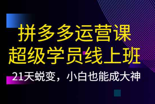 拼多多运营课：超级学员线上班，21天蜕变，小白也能成大神（拼多多运营小白入门）