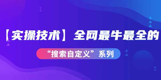 全网最牛最全的“搜索自定义”系列！【实操技术】价值698元（实用搜索网站）