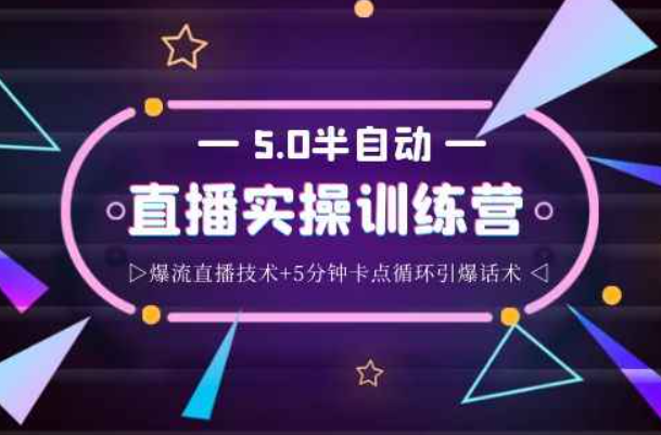 蚂蚁·5.0半自动直播2345打法，半自动爆流直播技术+5分钟卡点循环引爆话术