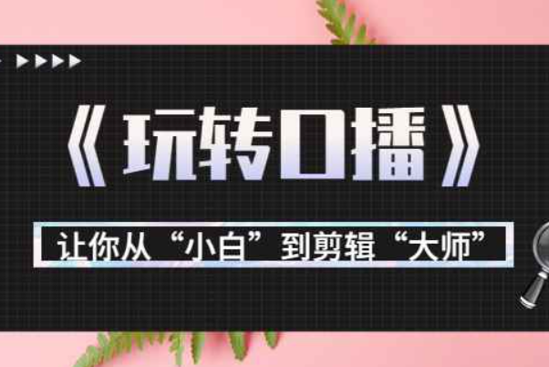 月营业额700万+大佬教您《玩转口播》让你从“小白”到剪辑“大师”