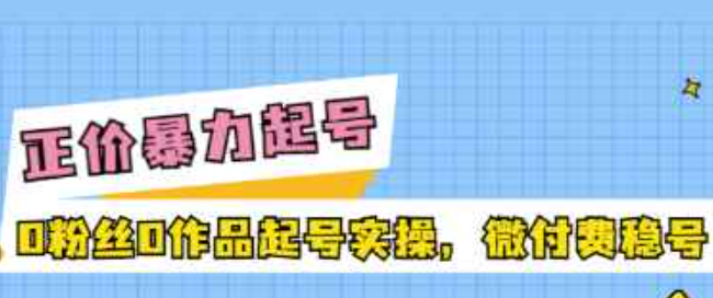 正价暴力起实操号：0粉丝0作品起号实操，微付费稳号（价值1980元）