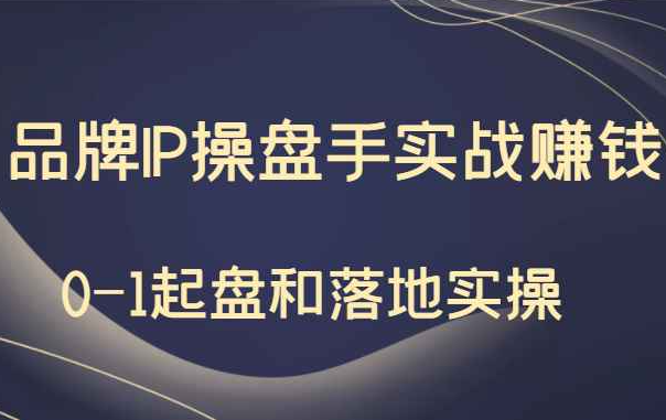 秒懂代运营：品牌IP操盘手实战赚钱，0-1起盘和落地实操（价值199元）