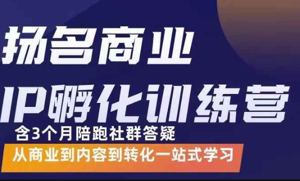 商业IP孵化训练营，从商业到内容到转化一站式学 价值5980元（ip孵化商业模式）