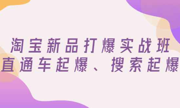 淘宝新品打爆实战班，直通车起爆、搜索起爆（价值599元）