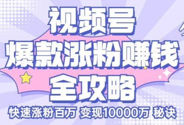 玩转微信视频号爆款涨粉赚钱全攻略，让你快速抓住流量风口，收获红利财富